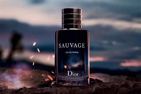 perfume similar to dior sauvage